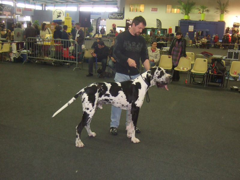 Aiko_Belfort_2010.jpg