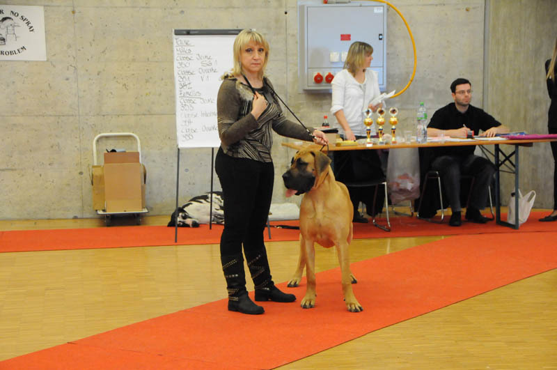 27_Elektra_Fribourg_2010.jpg 27_Elektra_Fribourg_2010.jpg